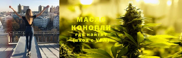 индика Зеленокумск