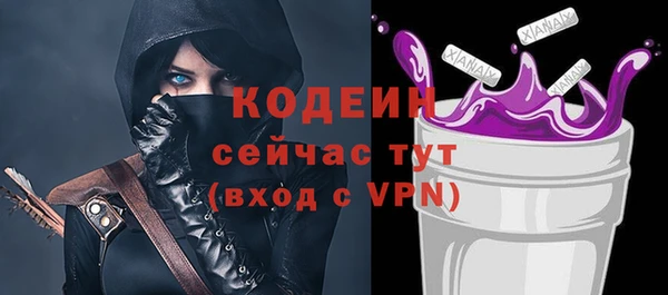 индика Зеленокумск