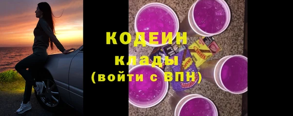 индика Зеленокумск