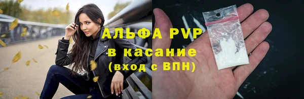индика Зеленокумск