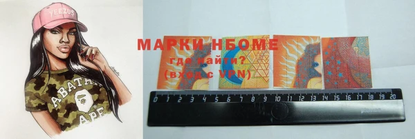 индика Зеленокумск