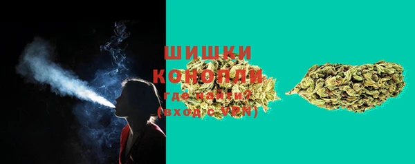 индика Зеленокумск