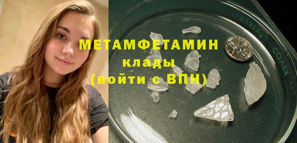 индика Зеленокумск