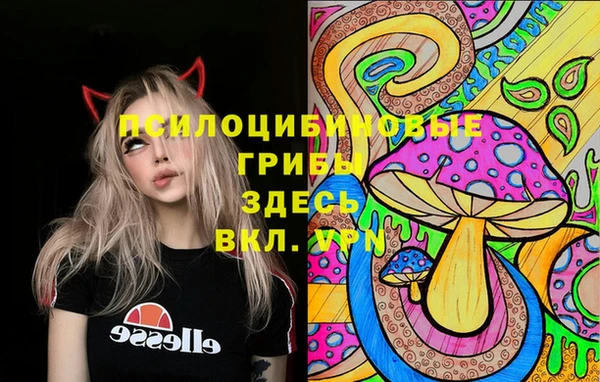 спиды Зерноград