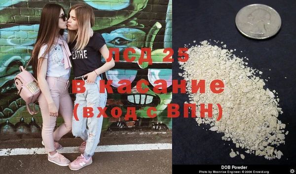 индика Зеленокумск