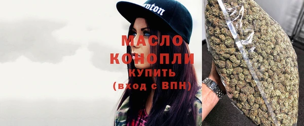 индика Зеленокумск